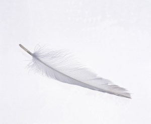 A white feather