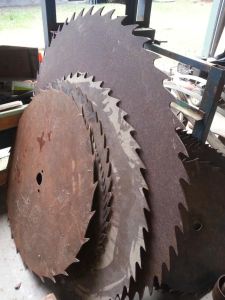 Old circular saw blades